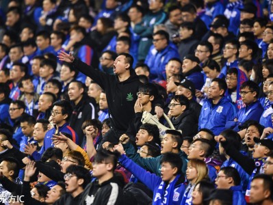 爱游戏官网-上海申花内部会议纪要流出——窗口期绝杀压哨，法甲使命明确，身体对抗强度拉满的简单介绍